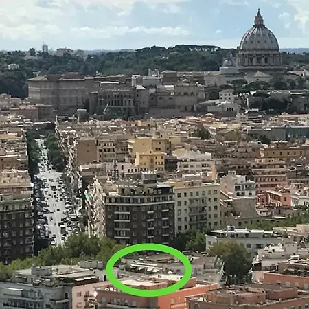 Almond Tree Vatican * Rome